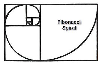 FIBONACCI SPIRAL drawing