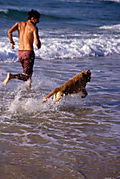 Man and Dog Running - istock_000003768984xsmall