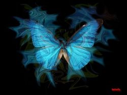 Butterfly_blue2