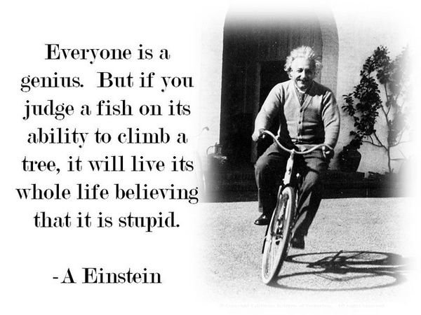 Everyone Is A Genius - But If You Judge A Fish On Its Ability To Climb A Tree - It Will Live Its Whole Life Believing That It Is Stupid - Albert Einstein