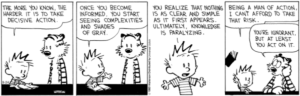 170806 Calvin and Hobbes - Decisive Action Cartoon